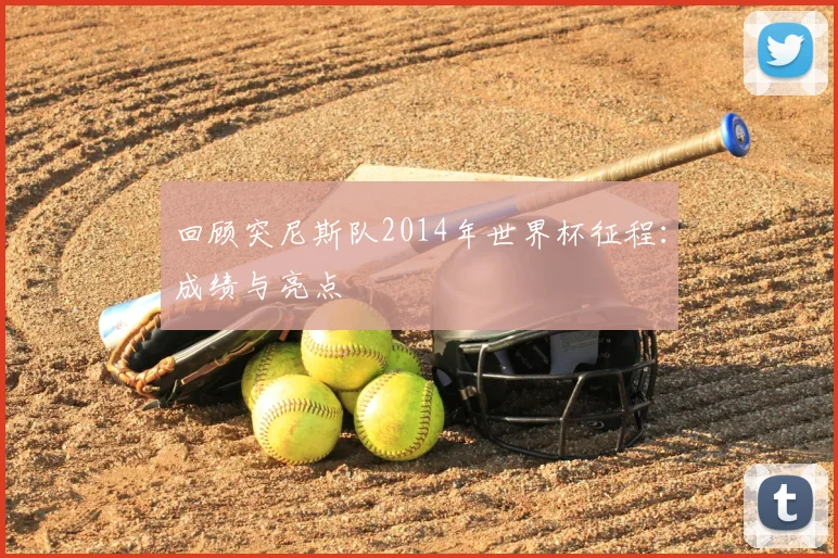 回顾突尼斯队2014年世界杯征程:成绩与亮点