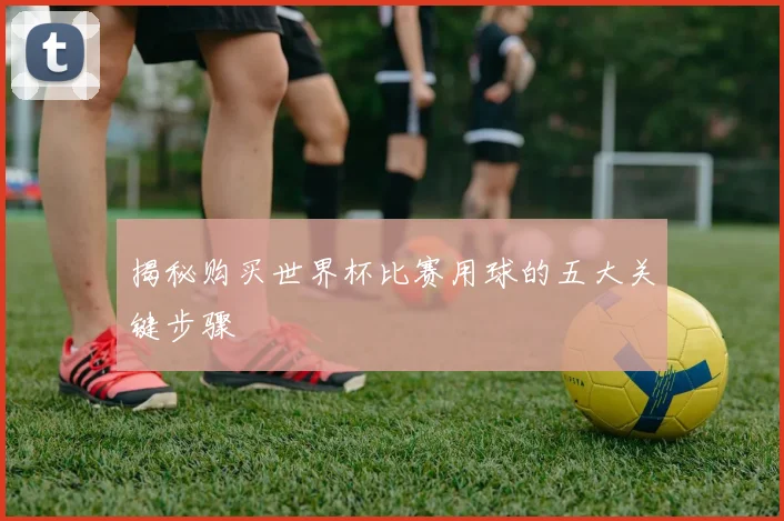 揭秘购买世界杯比赛用球的五大关键步骤