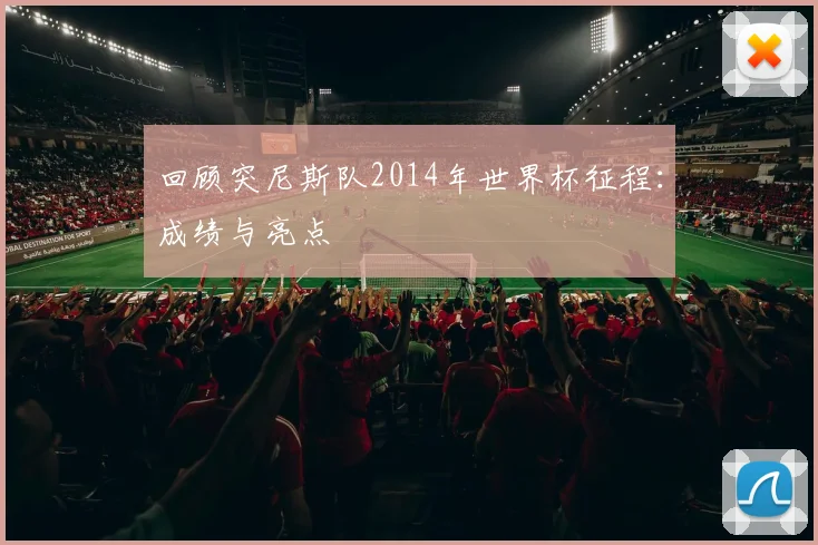 回顾突尼斯队2014年世界杯征程：成绩与亮点