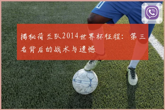 揭秘荷兰队2014世界杯征程：第三名背后的战术与遗憾