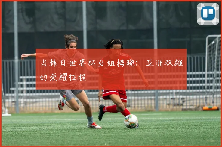 当韩日世界杯分组揭晓：亚洲双雄的荣耀征程
