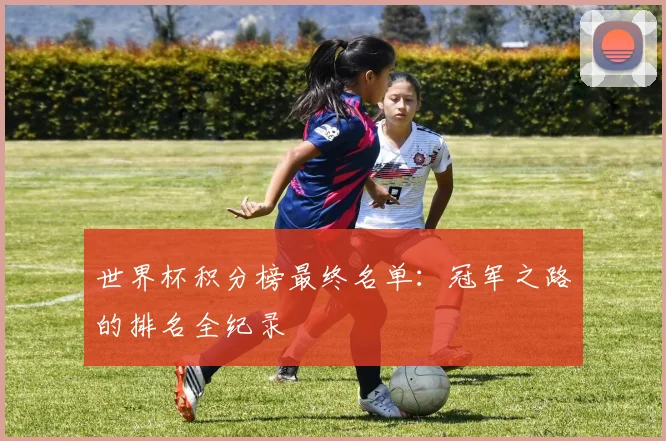 世界杯积分榜最终名单：冠军之路的排名全纪录